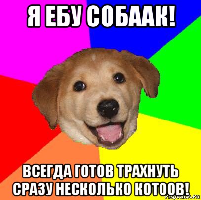 я ебу собаак! всегда готов трахнуть сразу несколько котоов!, Мем Advice Dog