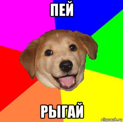 пей рыгай, Мем Advice Dog