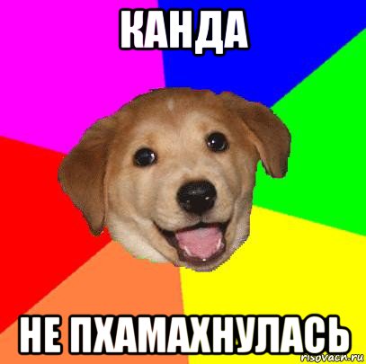 канда не пхамахнулась, Мем Advice Dog