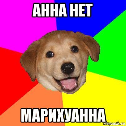 анна нет марихуанна, Мем Advice Dog