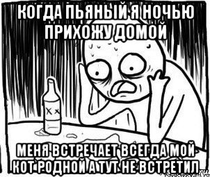 когда пьяный я ночью прихожу домой меня встречает всегда мой кот родной а тут не встретил, Мем Алкоголик-кадр