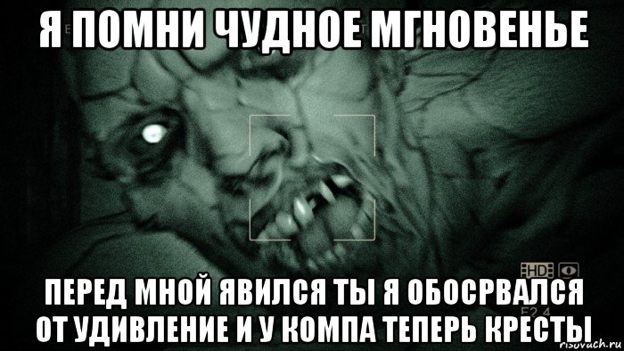 я помни чудное мгновенье перед мной явился ты я обосрвался от удивление и у компа теперь кресты, Мем Аутласт