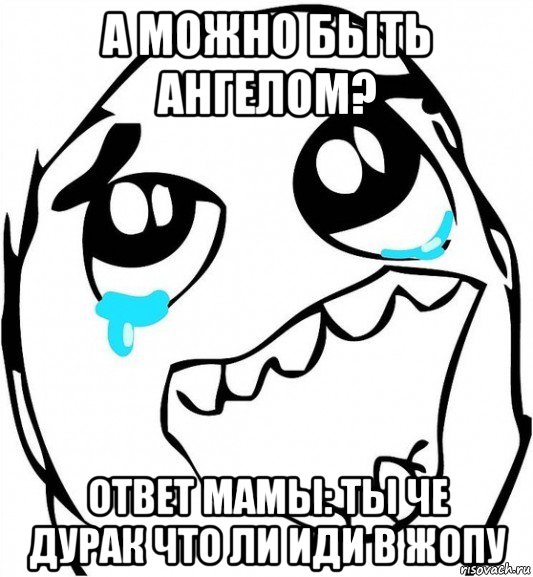 а можно быть ангелом? ответ мамы: ты че дурак что ли иди в жопу, Мем  Плачет от радости