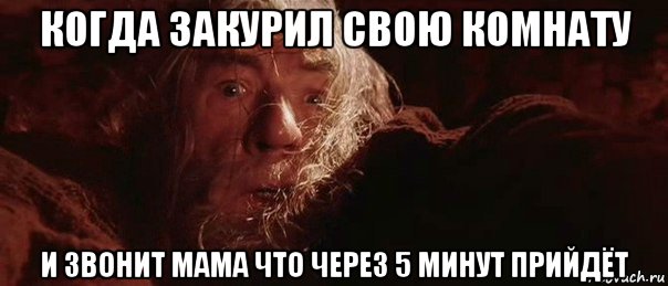 когда закурил свою комнату и звонит мама что через 5 минут прийдёт, Мем бегите глупцы