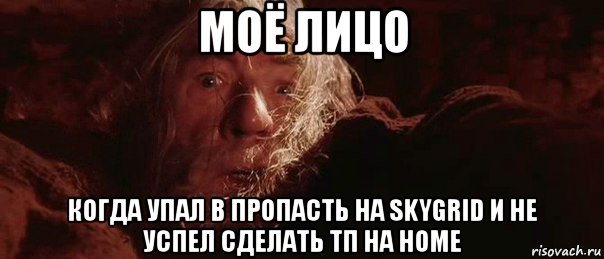 моё лицо когда упал в пропасть на skygrid и не успел сделать тп на home, Мем бегите глупцы