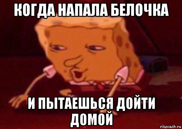 когда напала белочка и пытаешься дойти домой, Мем    Bettingmemes