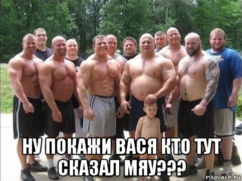  ну покажи вася кто тут сказал мяу???