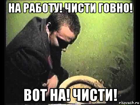 на работу! чисти говно! вот на! чисти!