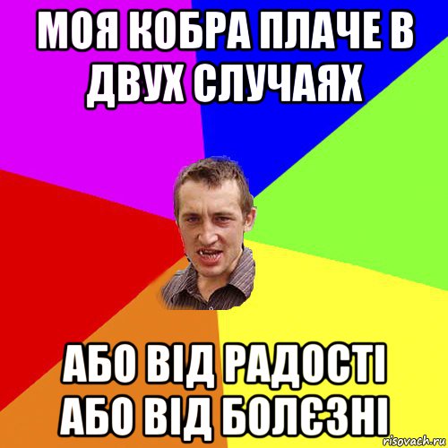 моя кобра плаче в двух случаях або від радості або від болєзні