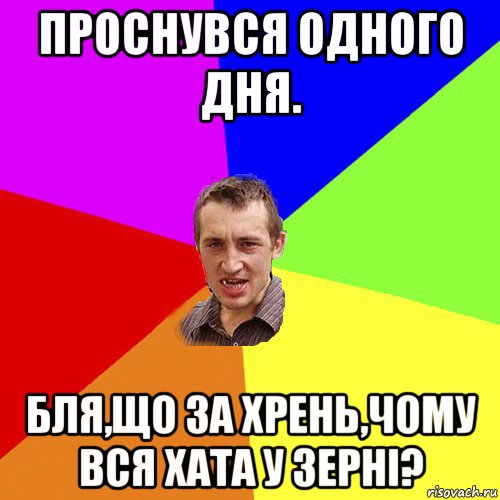 проснувся одного дня. бля,що за хрень,чому вся хата у зерні?, Мем Чоткий паца