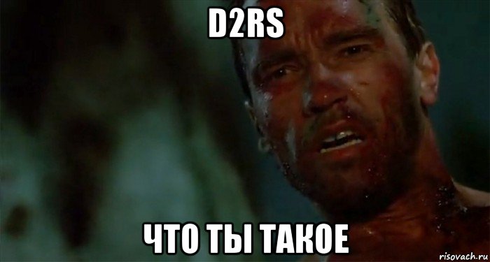 d2rs что ты такое