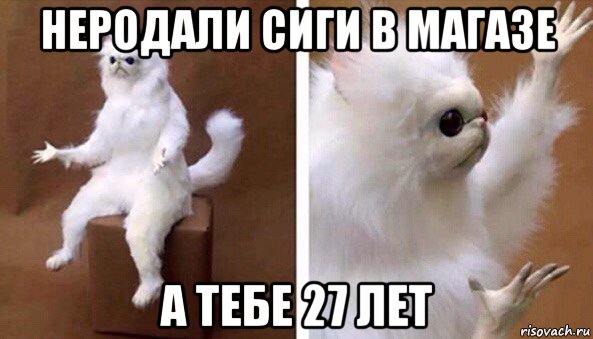 неродали сиги в магазе а тебе 27 лет, Мем Чучело кота