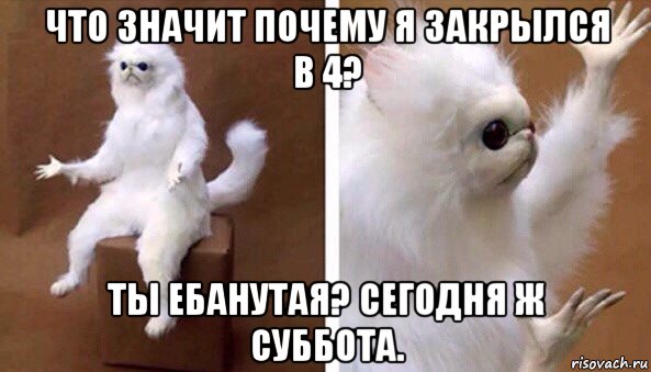 что значит почему я закрылся в 4? ты ебанутая? сегодня ж суббота., Мем Чучело кота