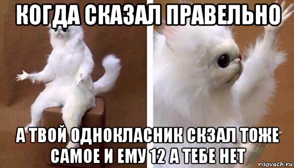 когда сказал правельно а твой однокласник скзал тоже самое и ему 12 а тебе нет, Мем Чучело кота