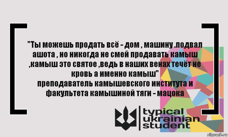 "Ты можешь продать всё - дом , машину .подвал ашота , но никогда не смей продавать камыш ,камыш это святое ,ведь в наших венах течёт не кровь а именно камыш"
преподаватель камышевского института и факультета камышиной тяги - мацока, Комикс цитата