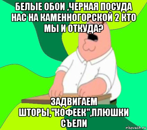 белые обои ,черная посуда нас на каменногорской 2 кто мы и откуда? задвигаем шторы,"кофеек",плюшки съели, Мем  Да всем насрать (Гриффин)