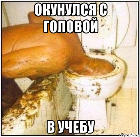 окунулся с головой в учебу, Мем Дайвер