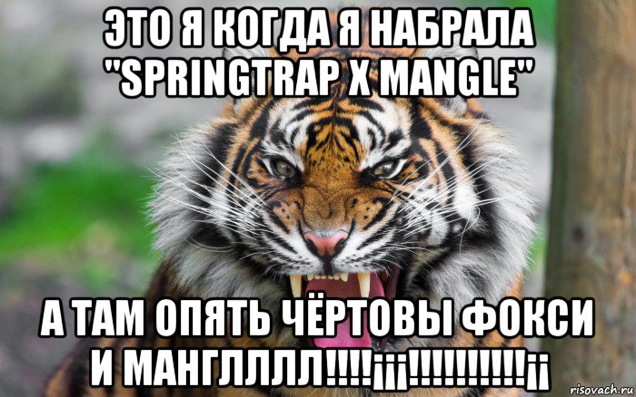 это я когда я набрала "springtrap x mangle" а там опять чёртовы фокси и манглллл!!!!¡¡¡!!!!!!!!!!¡¡, Мем ДЕРЗКИЙ ТИГР