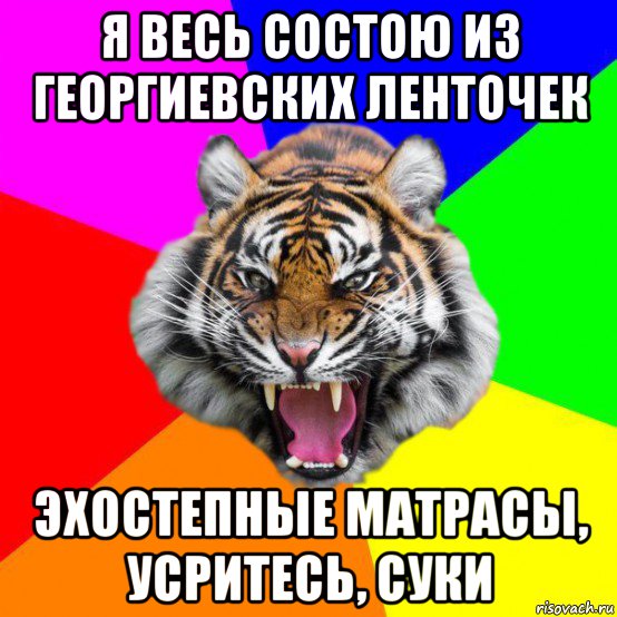 я весь состою из георгиевских ленточек эхостепные матрасы, усритесь, суки, Мем  ДЕРЗКИЙ ТИГР