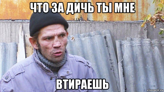 что за дичь ты мне втираешь, Мем  Дичь