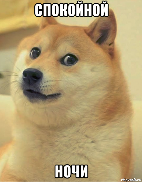 спокойной ночи, Мем doge woof