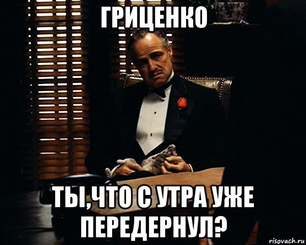 гриценко ты,что с утра уже передернул?, Мем Дон Вито Корлеоне