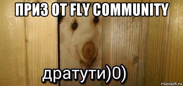 приз от fly community , Мем  Дратути