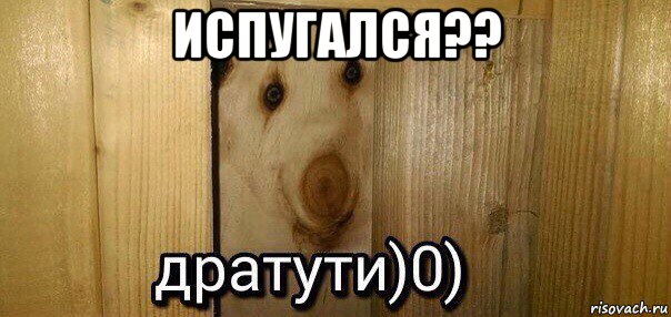 испугался?? , Мем  Дратути