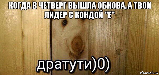 когда в четверг вышла обнова, а твои лидер с кондой "e" , Мем  Дратути