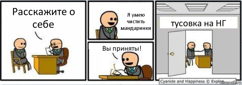 Расскажите о себе Я умею чистить мандаринки Вы приняты! тусовка на НГ, Комикс Собеседование на работу