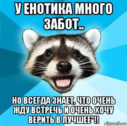 у енотика много забот.. но всегда знает, что очень жду встречь и очень хочу верить в лучшее"!!, Мем Енот-Каламбурист