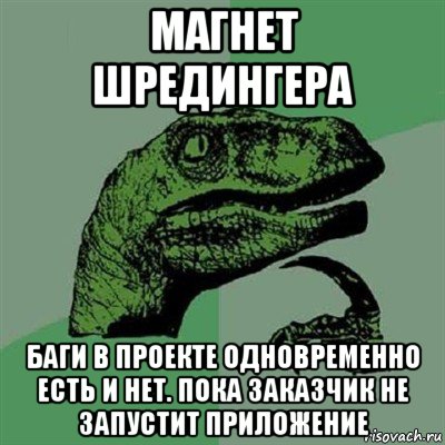 магнет шредингера баги в проекте одновременно есть и нет. пока заказчик не запустит приложение, Мем Филосораптор