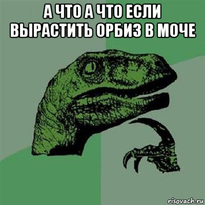 а что а что если вырастить орбиз в моче , Мем Филосораптор