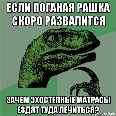 если поганая рашка скоро развалится зачем эхостепные матрасы ездят туда лечиться?, Мем Филосораптор