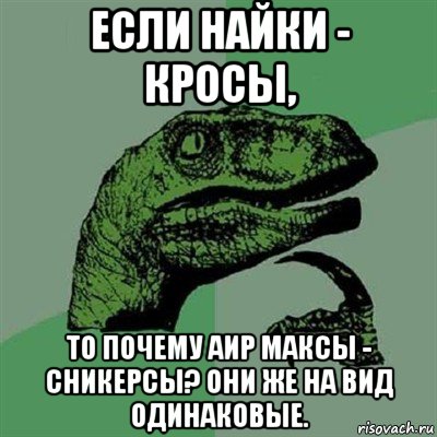 если найки - кросы, то почему аир максы - сникерсы? они же на вид одинаковые., Мем Филосораптор