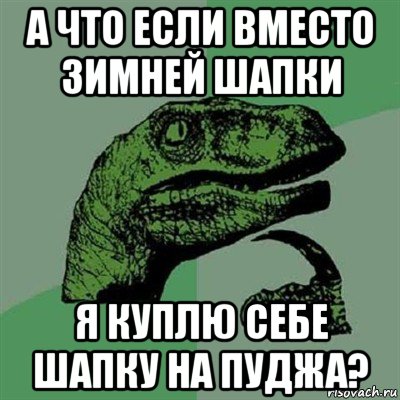 а что если вместо зимней шапки я куплю себе шапку на пуджа?, Мем Филосораптор