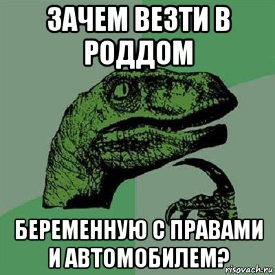 зачем везти в роддом беременную с правами и автомобилем?, Мем Филосораптор