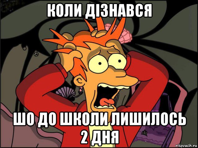 коли дізнався шо до школи лишилось 2 дня, Мем Фрай в панике