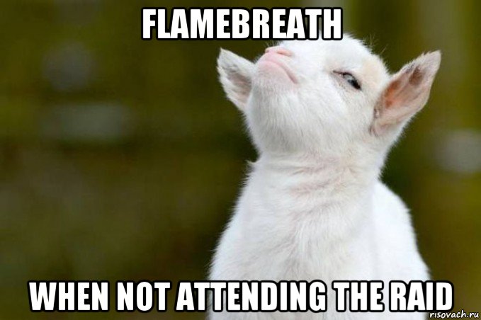 flamebreath when not attending the raid, Мем  Гордый козленок