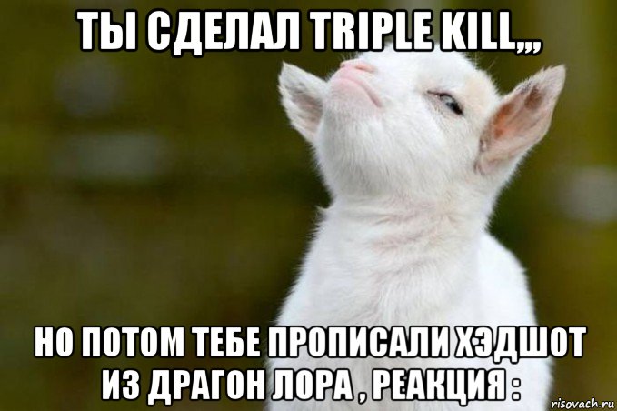 ты сделал triple kill,,, но потом тебе прописали хэдшот из драгон лора , реакция :, Мем  Гордый козленок