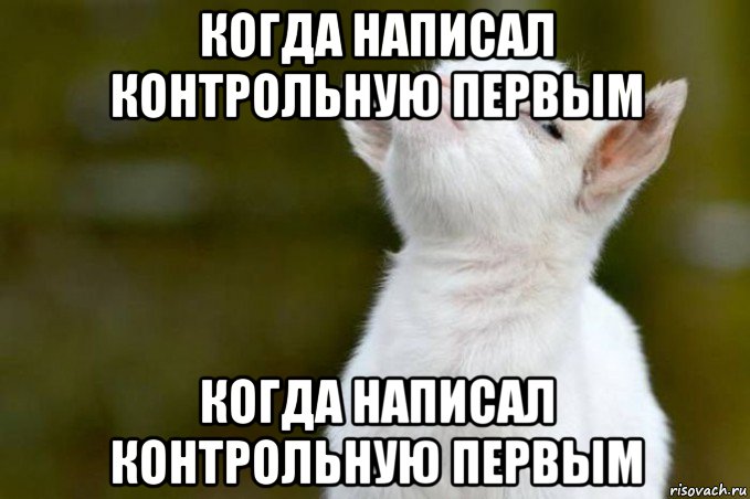 когда написал контрольную первым когда написал контрольную первым, Мем  Гордый козленок