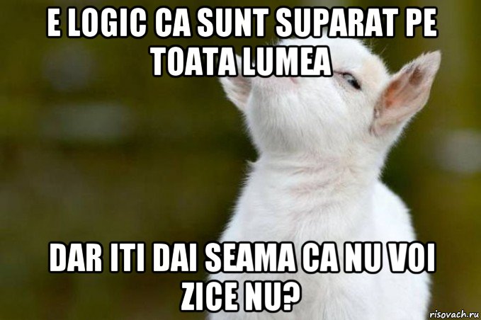 e logic ca sunt suparat pe toata lumea dar iti dai seama ca nu voi zice nu?, Мем  Гордый козленок