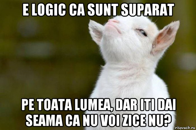 e logic ca sunt suparat pe toata lumea, dar iti dai seama ca nu voi zice nu?, Мем  Гордый козленок