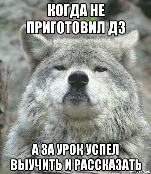 когда не приготовил дз а за урок успел выучить и рассказать, Мем    Гордый волк