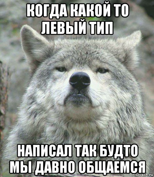 когда какой то левый тип написал так будто мы давно общаемся, Мем    Гордый волк