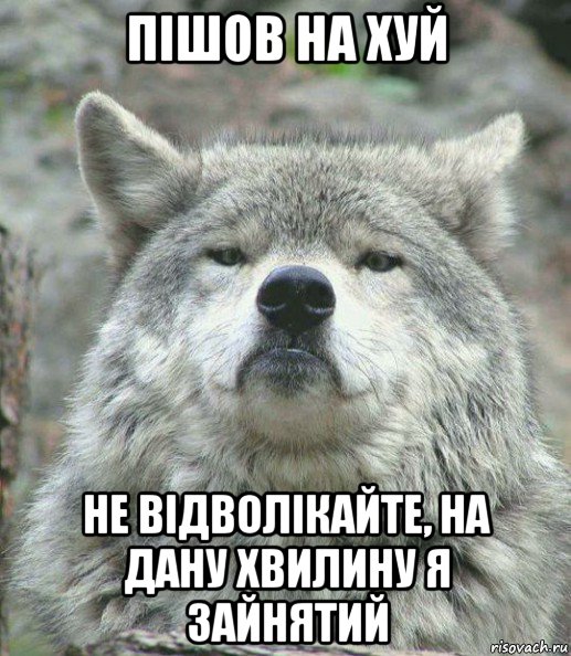 пішов на хуй не відволікайте, на дану хвилину я зайнятий, Мем    Гордый волк