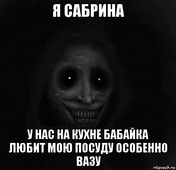 я сабрина у нас на кухне бабайка любит мою посуду особенно вазу, Мем Ночной гость