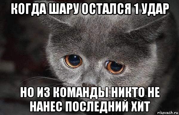 когда шару остался 1 удар но из команды никто не нанес последний хит, Мем  Грустный кот