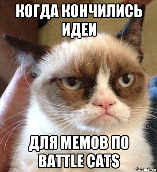 когда кончились идеи для мемов по battle cats, Мем Грустный (сварливый) кот