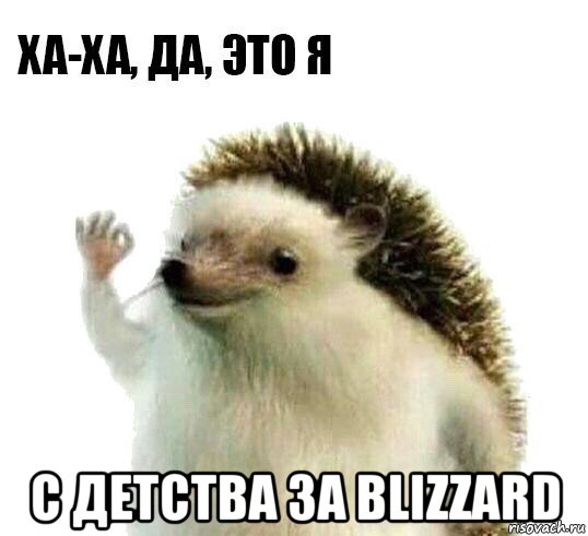  с детства за blizzard, Мем Ха-ха да это я